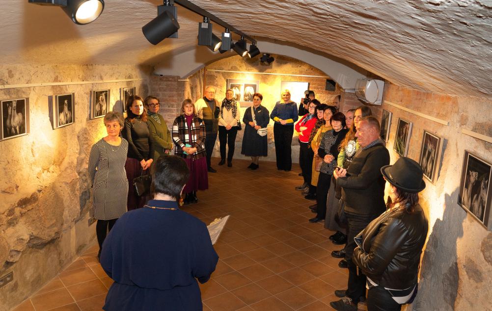 Atidaryta Stasio Povilaičio fotografijų paroda „Arklių portretai“