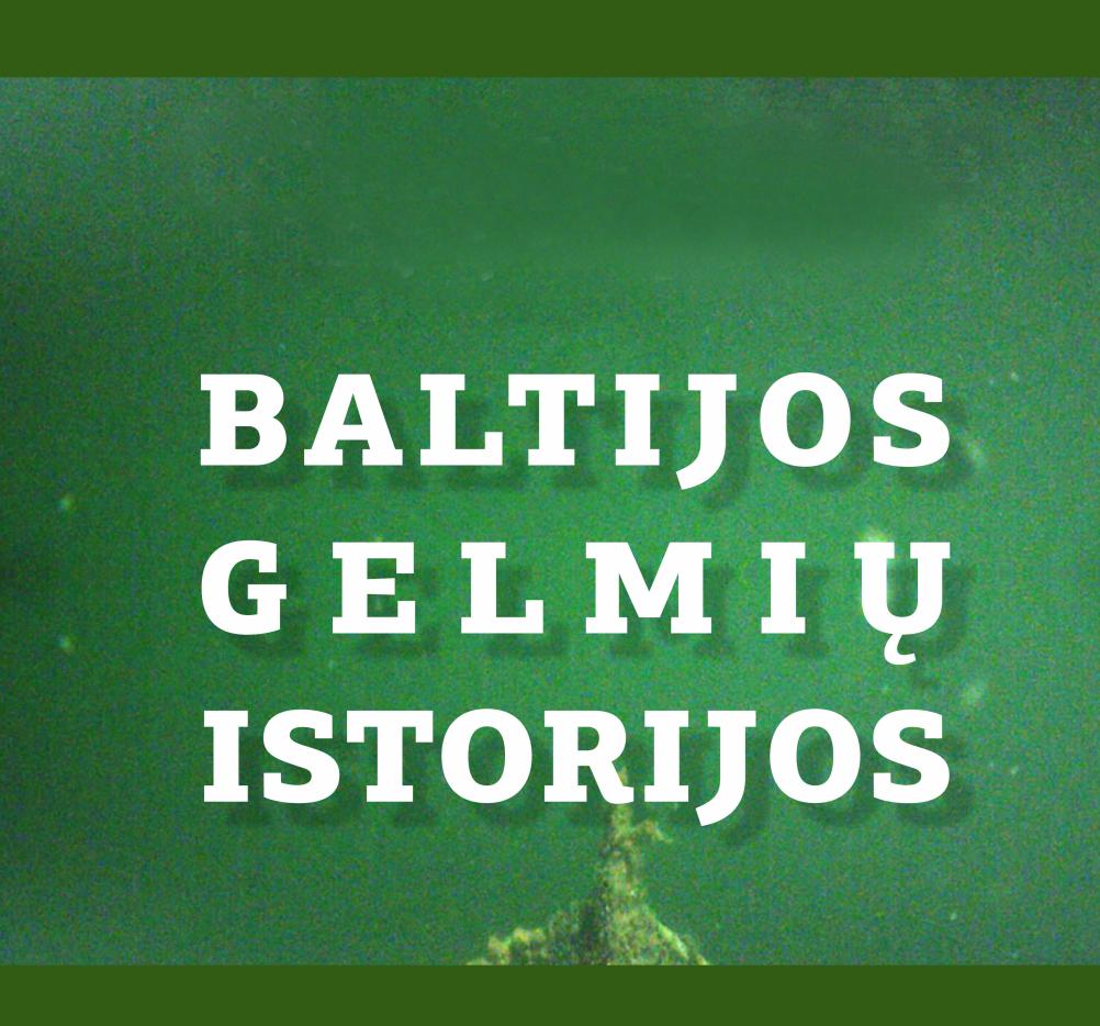 Parodos „Baltijos gelmių istorijos“ atidarymas