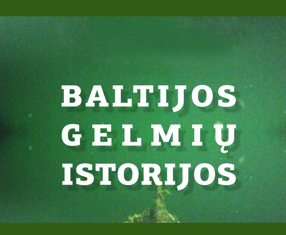 Parodos „Baltijos gelmių istorijos“ atidarymas