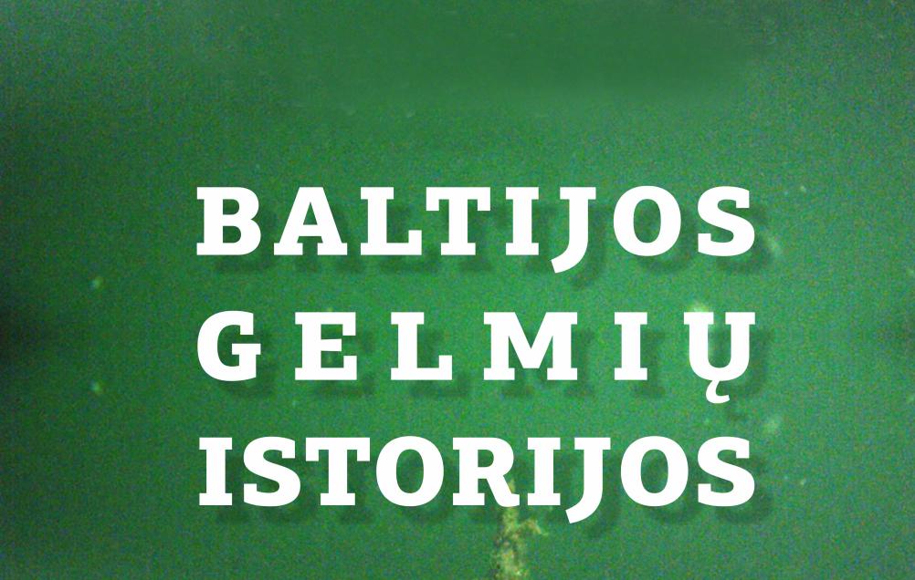 Parodos „Baltijos gelmių istorijos“ atidarymas