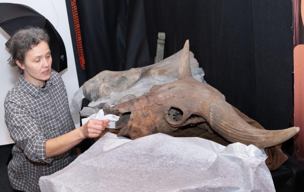 Osteologinės kolekcijos tyrimai