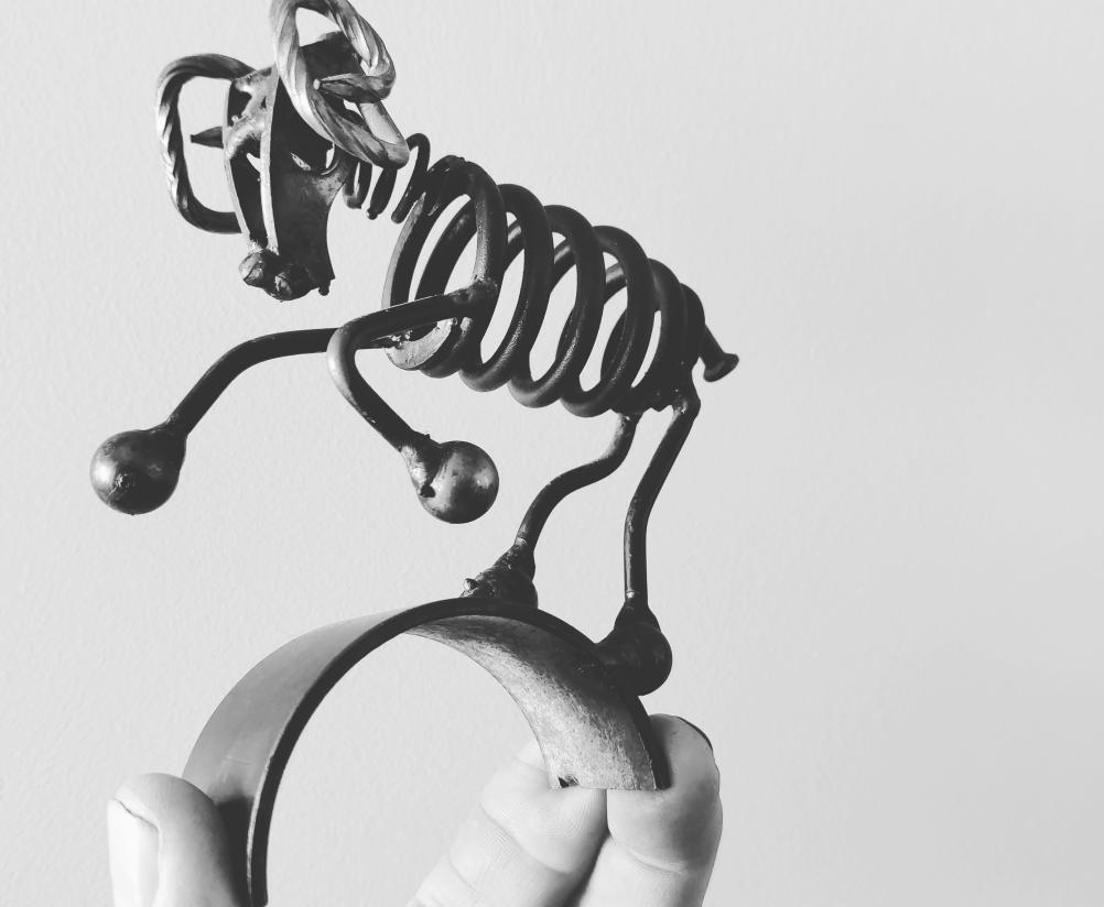 Dariaus Dulinsko skulptūrų parodos  „Kas išmesta nebūtinai nereikalinga“ pristatymas