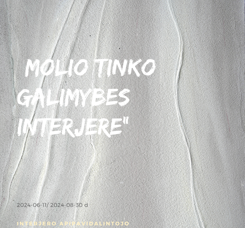 Paroda „Molio tinko galimybės interjere“